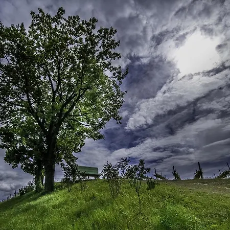 Small House Monferrato Apartament