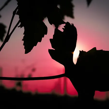 Small House Monferrato 公寓 *